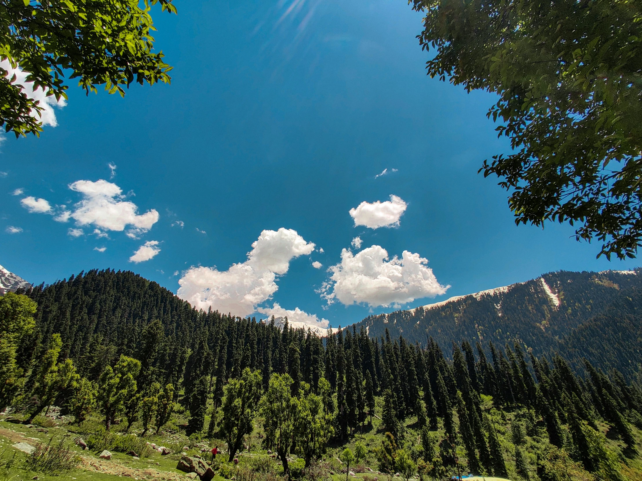 green field with clouds and mountains in background