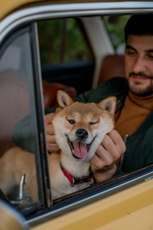 a man is petting his small dog from behind the wheel