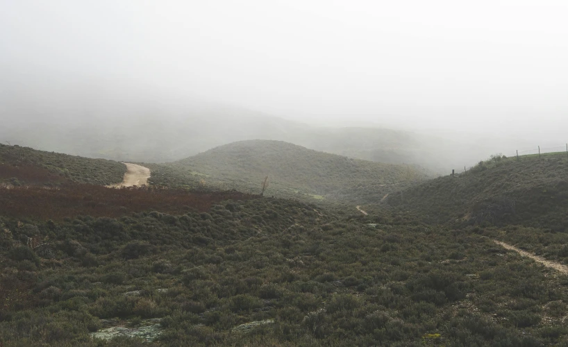 a lone hiker is hiking up a grassy hill