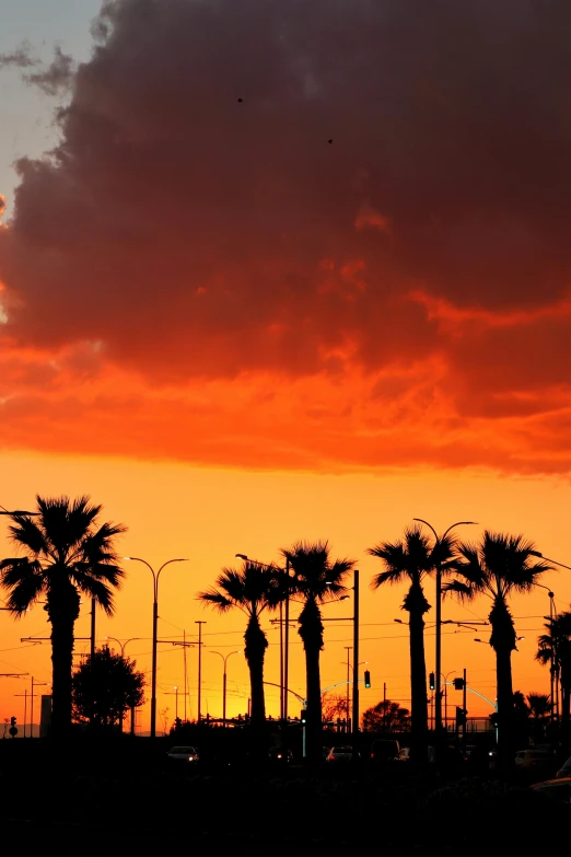 red, yellow and orange clouds shine in the sky