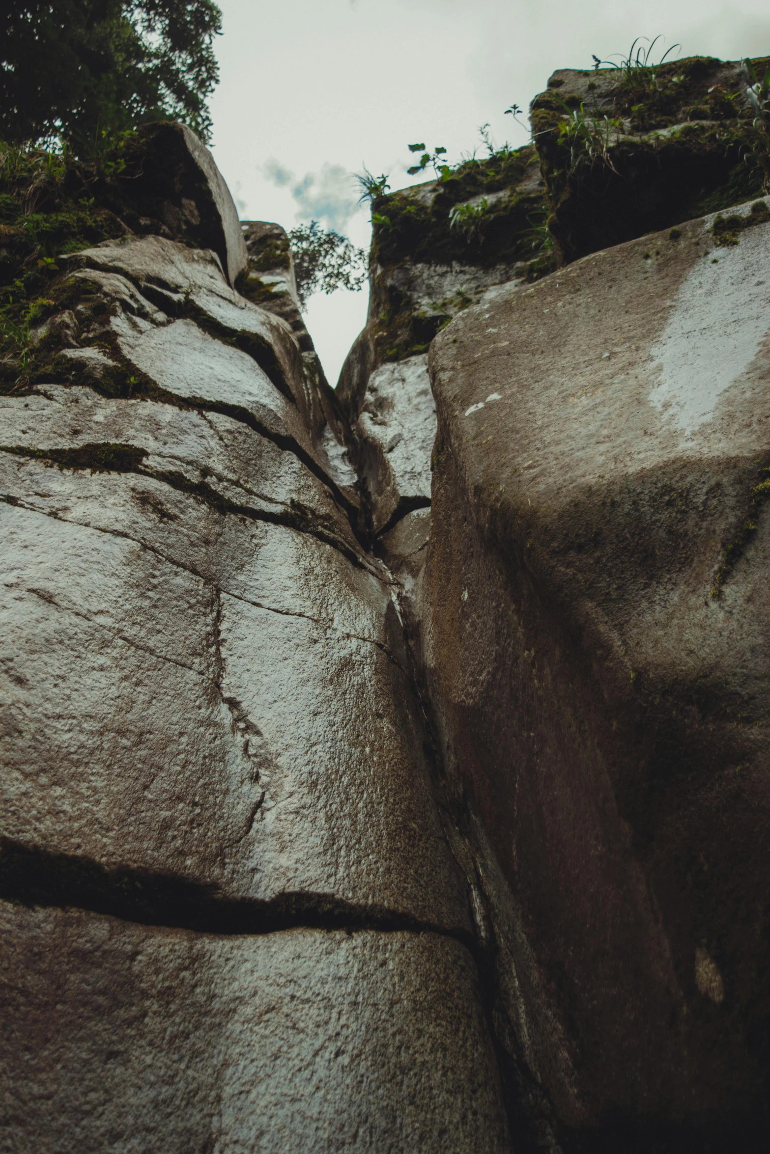 some kind of rock formation with plants on top