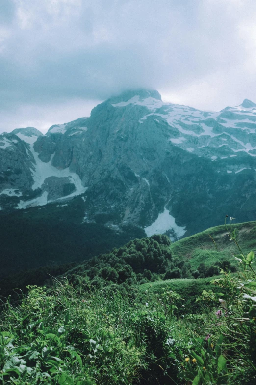 a mountain view with some snow and green plants