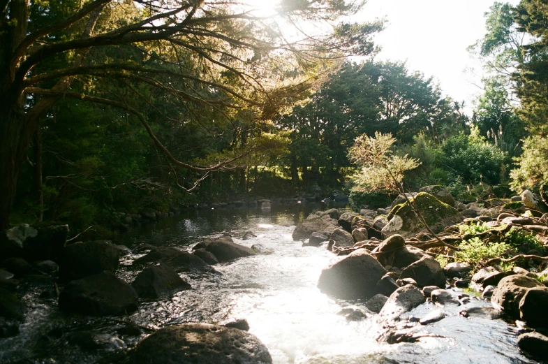 stream near rock bed with trees in background