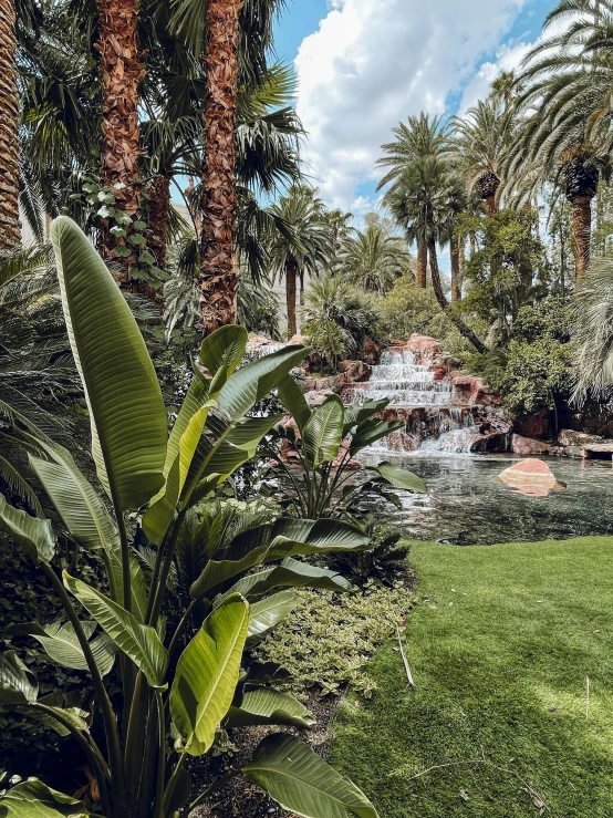 a park filled with lots of green grass