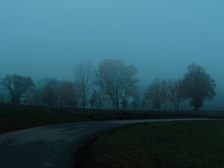 some trees on a hill and road near by