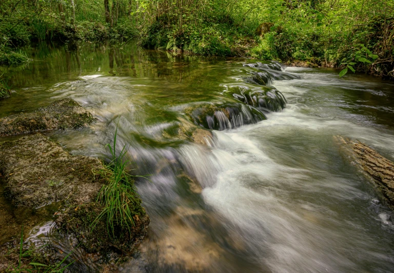 the stream in the middle of the jungle passes by