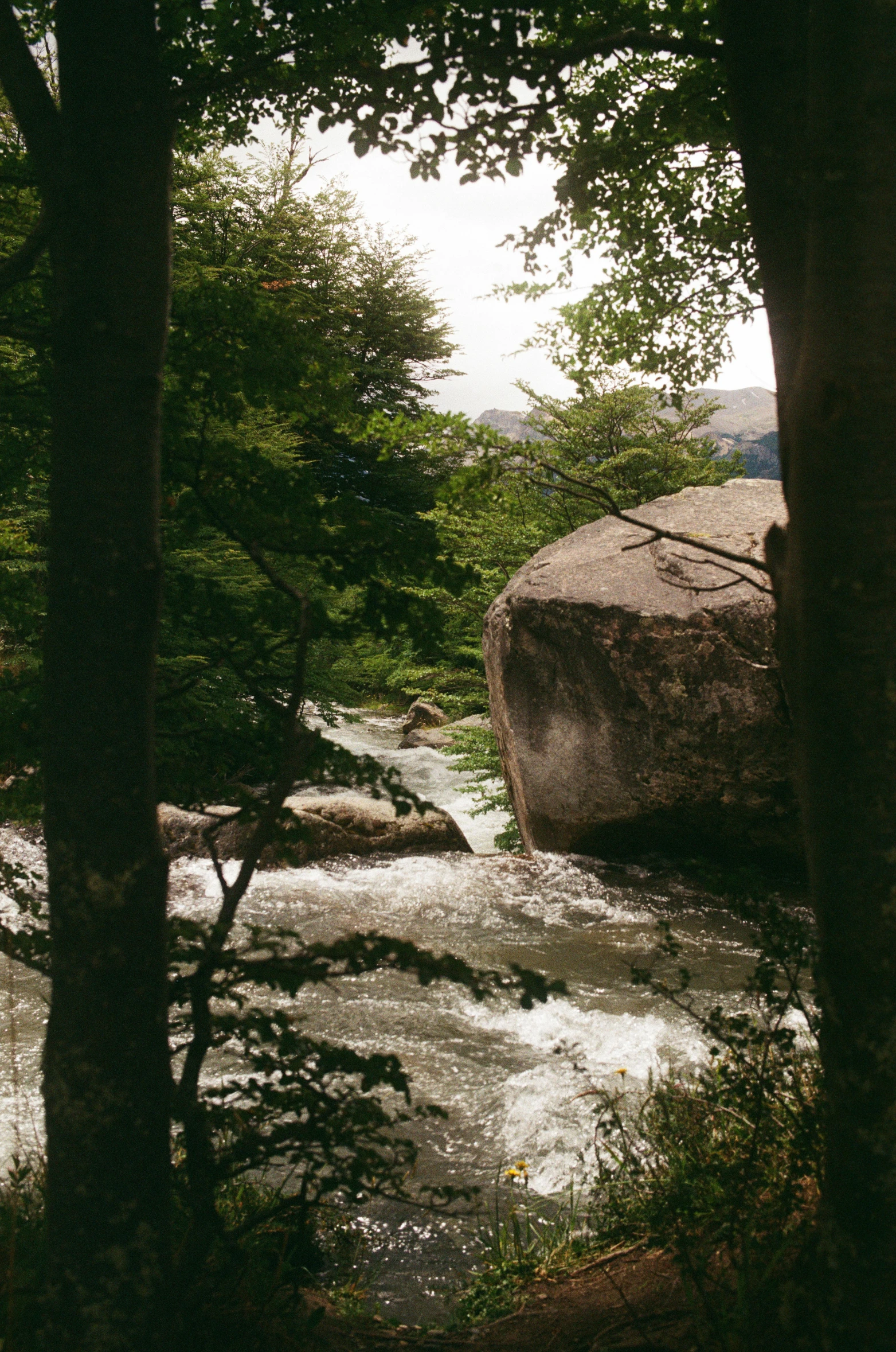 a river surrounded by trees and a large rock