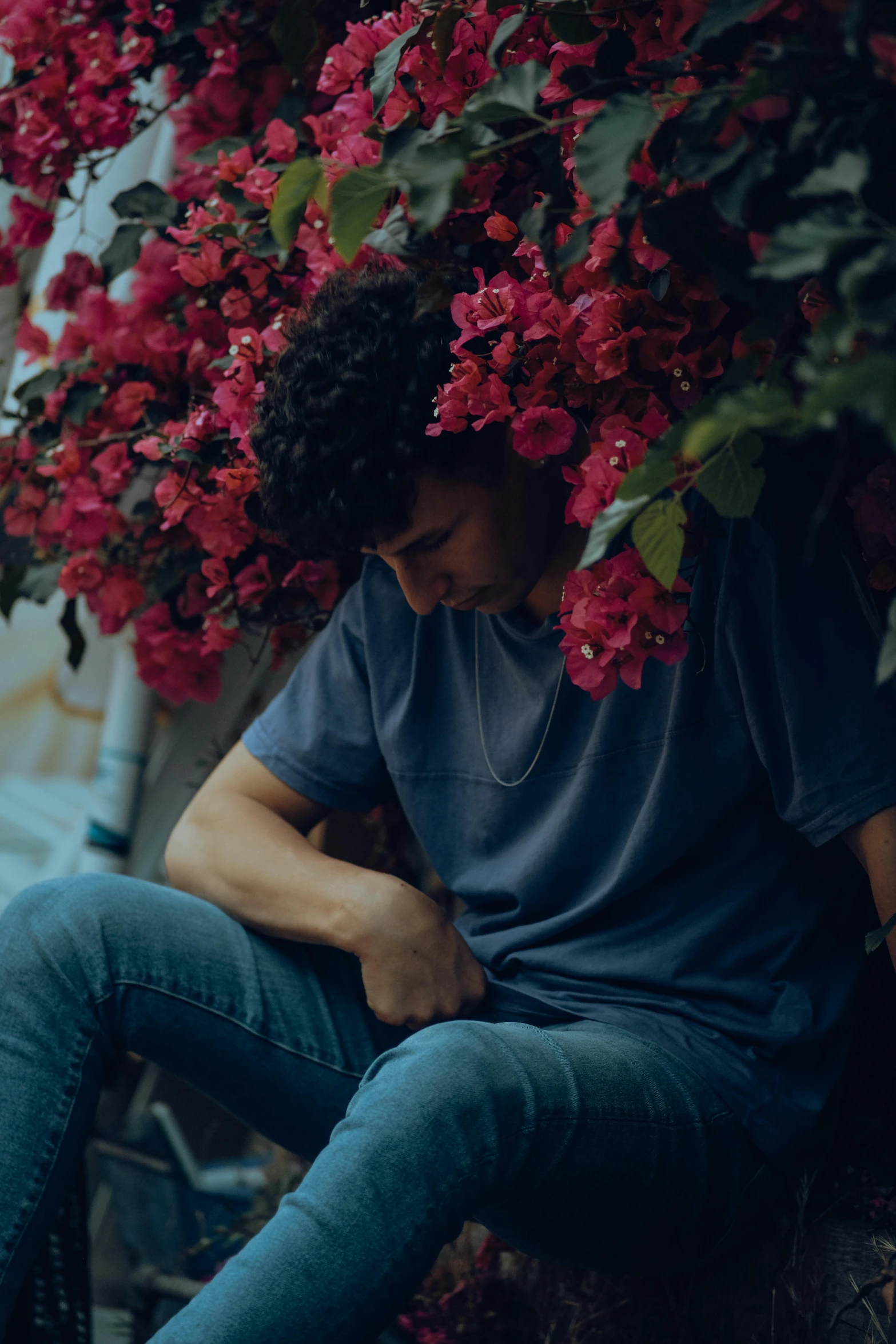 man sitting down under a tree filled with flowers