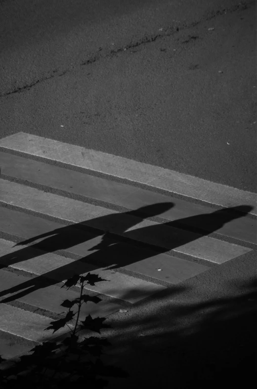 a skateboarder is riding across a crosswalk