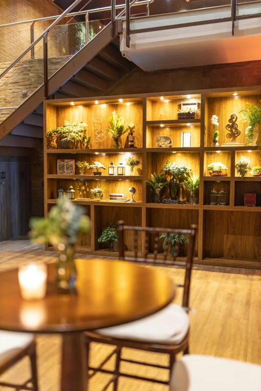 the wooden shelves hold many plants and potted plants