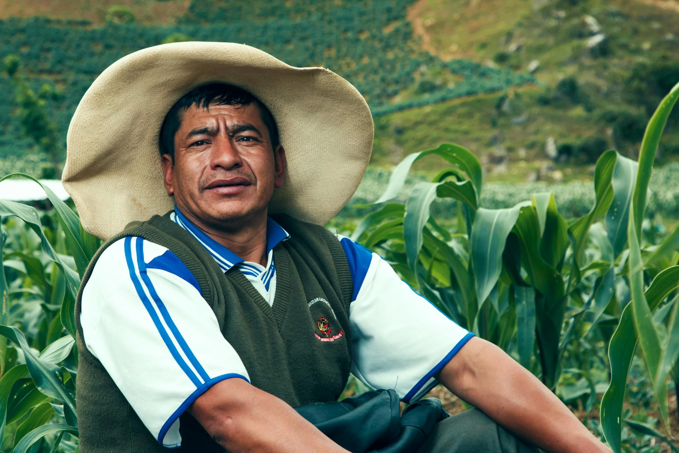 a man sits in front of some plants