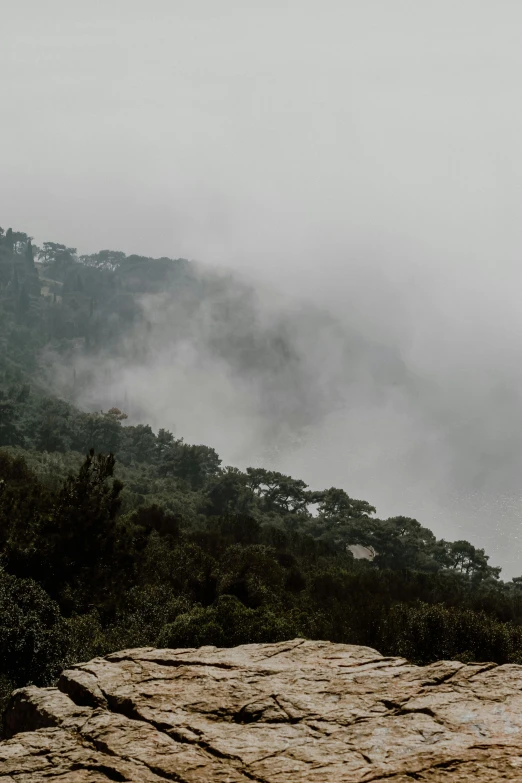 the top of a mountain with fog in the air and trees