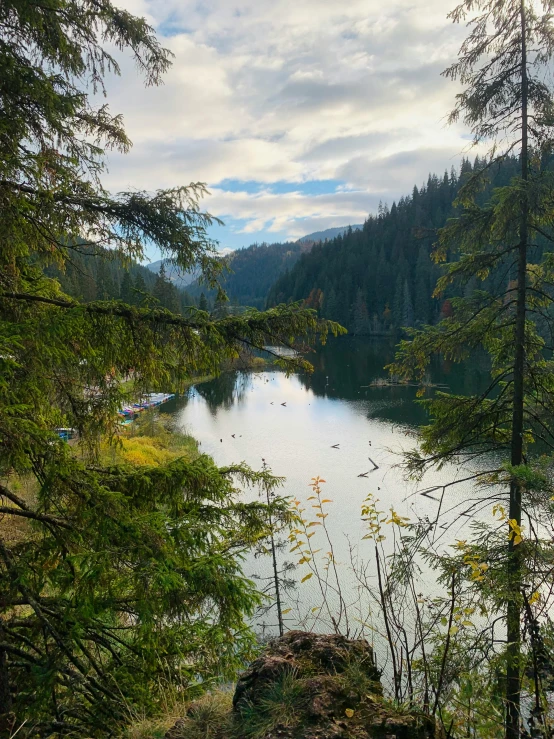 there is a lake surrounded by some trees