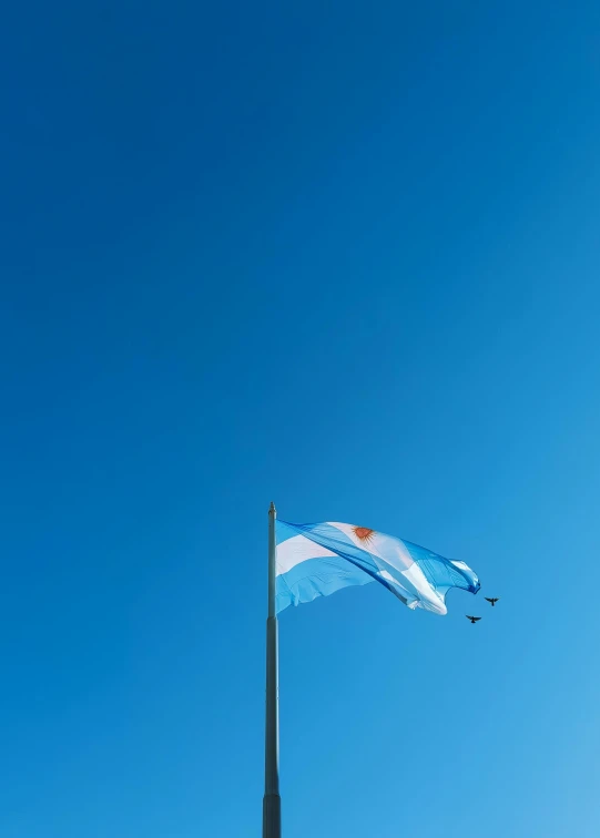 a blue and white flag flying in the wind