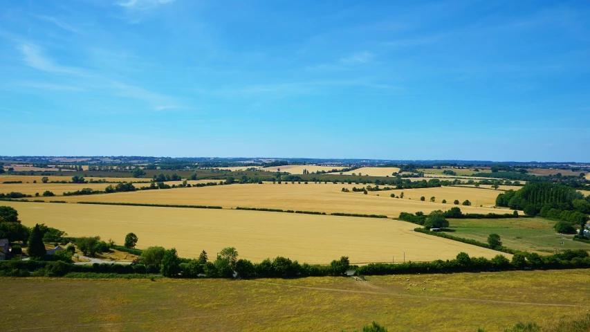 an aerial view of a wide farm field