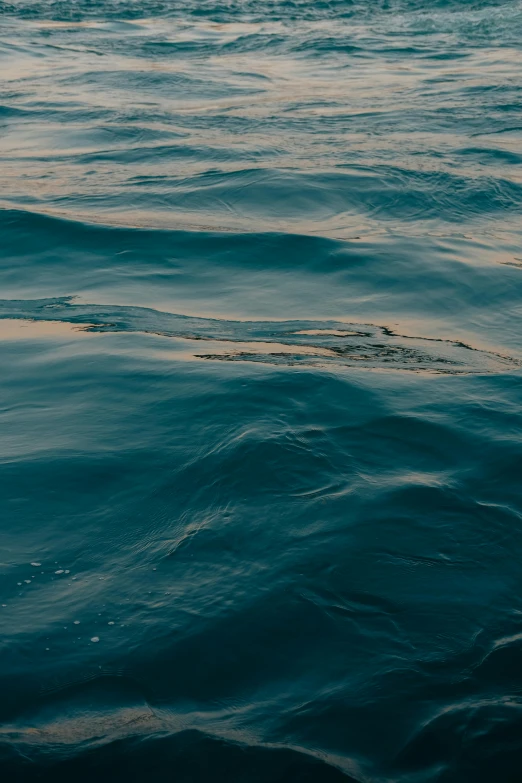 large, green object floats out of the water