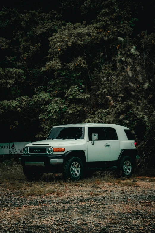 a white truck parked next to trees and dirt