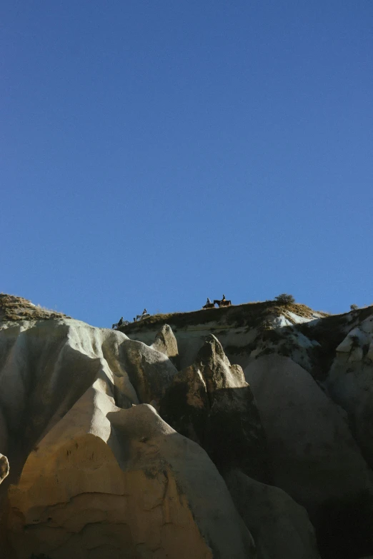 a group of birds sitting on top of rocks