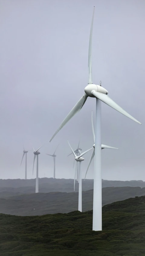 a bunch of wind mills in the middle of the field