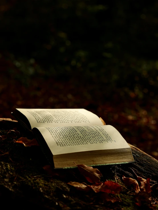 an open book sitting on top of a wooden surface