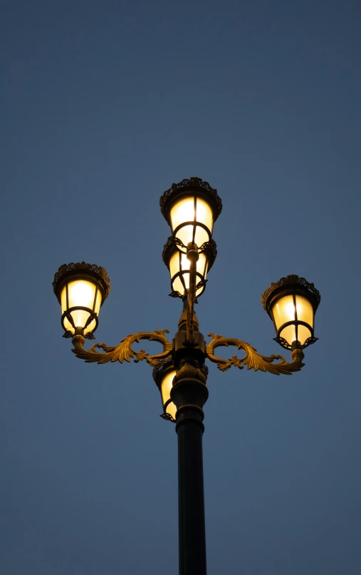two street lamps shine from underneath against the sky