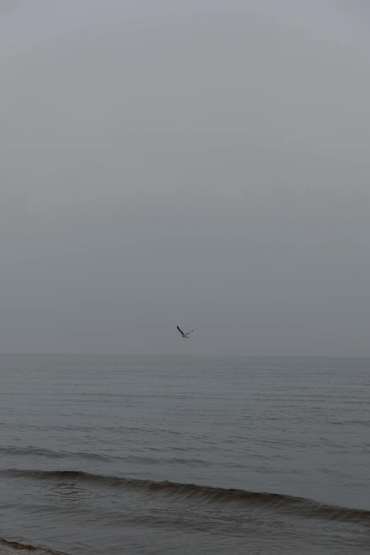 the bird is flying high above the water on the gray sky day