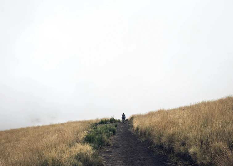 a lone man walks down a trail in a field