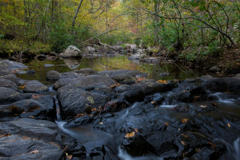 a creek runs through some rocks, surrounded by many trees