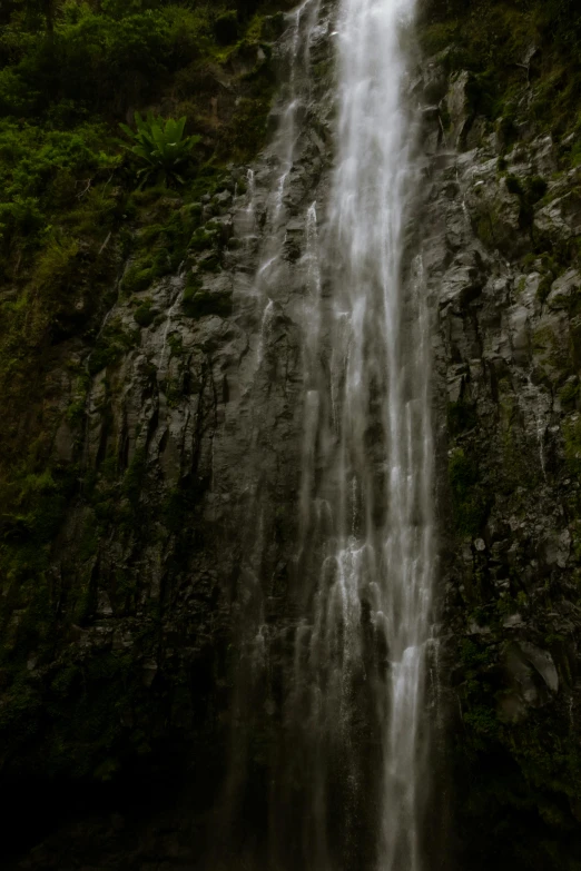 a woman standing under a large waterfall surrounded by forest