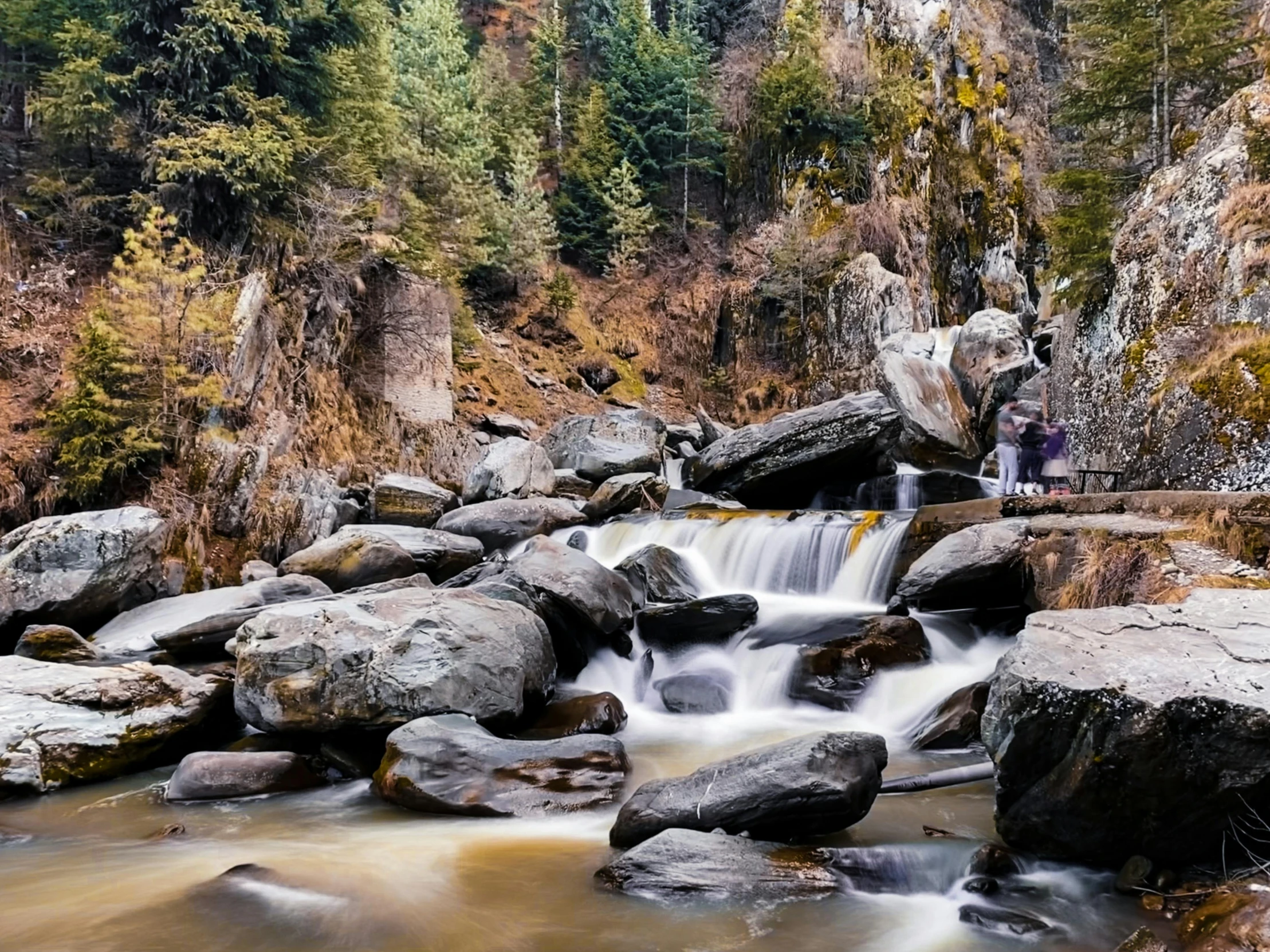 a rocky stream running through the woods