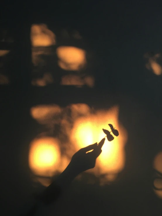 person holding a bird near lit candles and a building