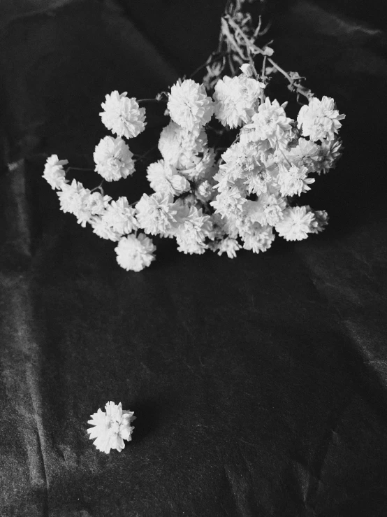 a black and white po of flowers