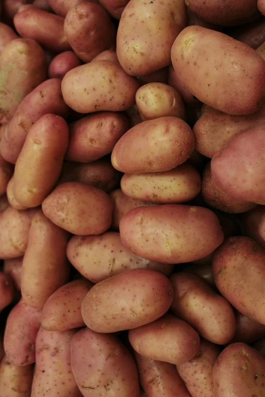 many potatoes are laying in a pile together