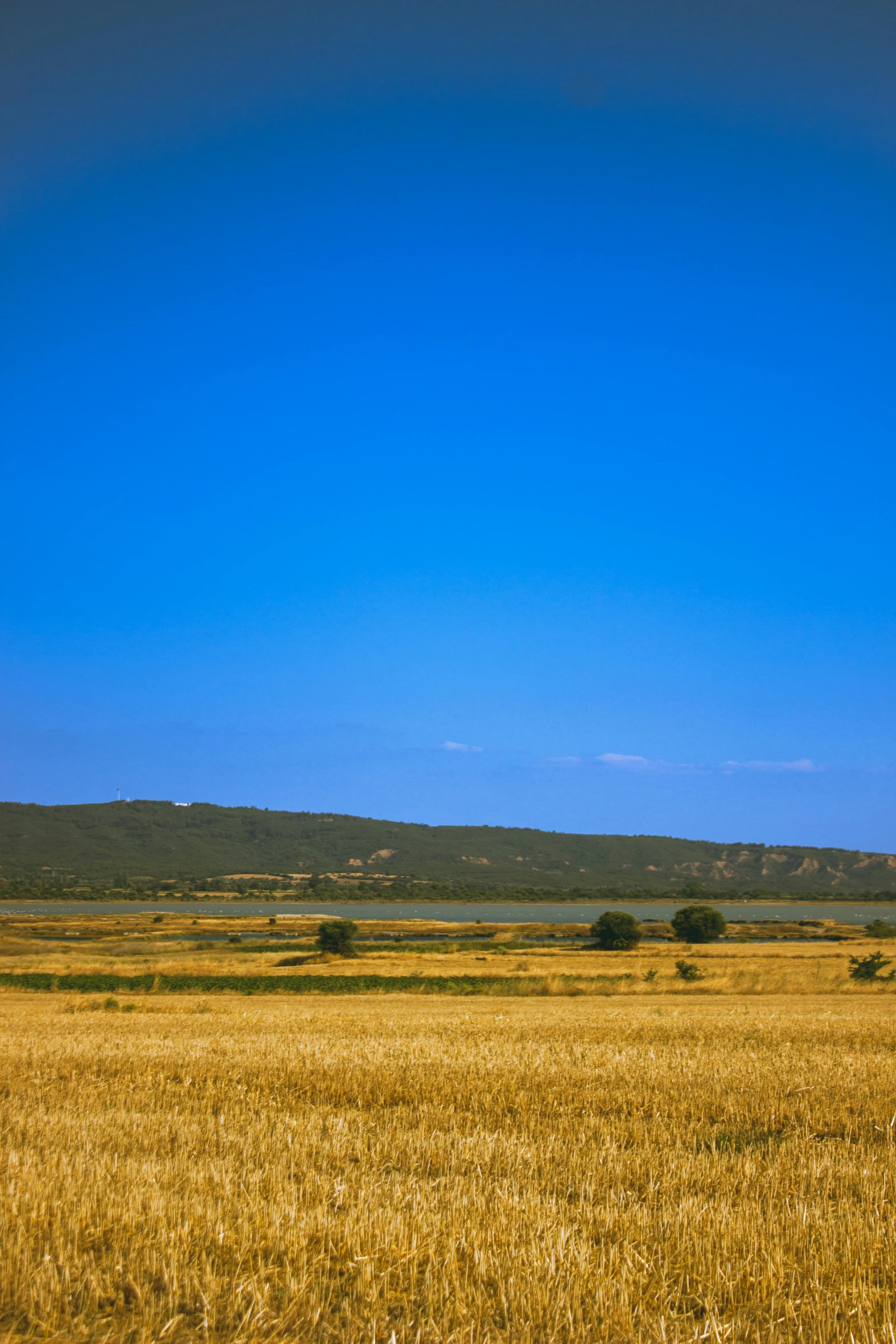 a lone horse grazing in a field with hills in the distance