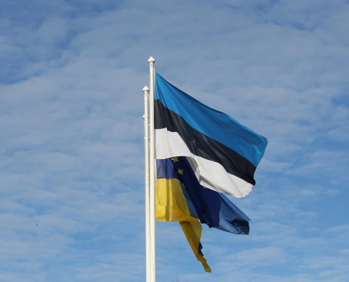 a flag flying at the top of a tall pole