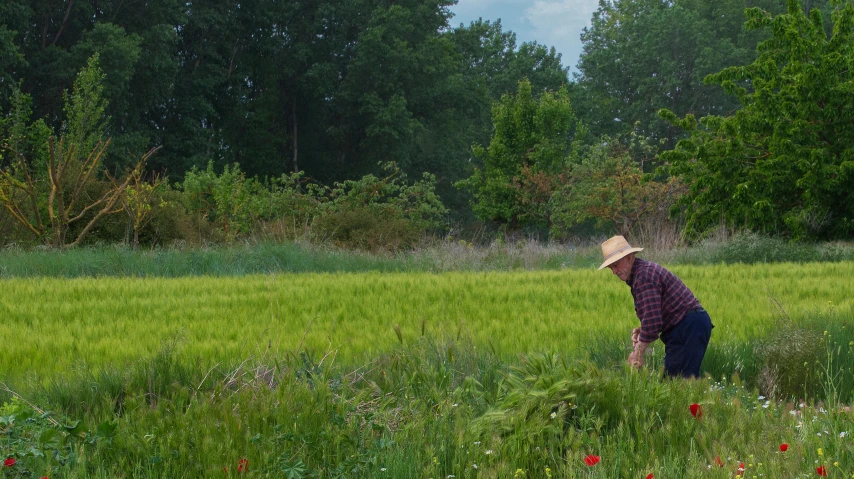 a man in a field holding a straw hat