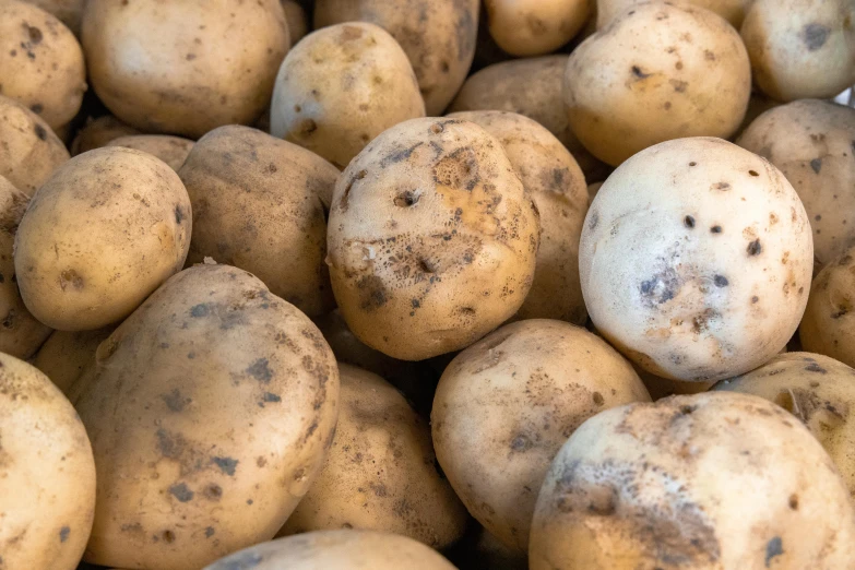 potatoes are brown with very little marks on them
