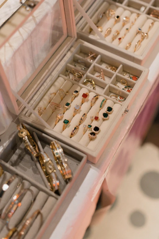 this is an image of jewelry in a case