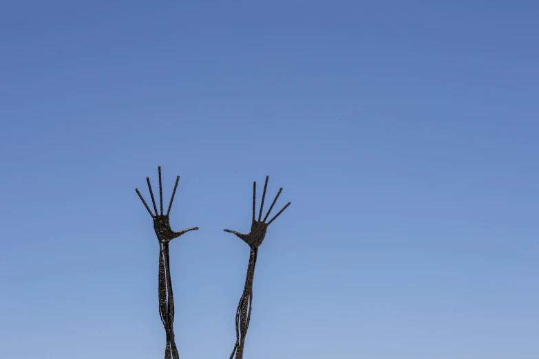 a couple of sticks stand together outside of the grass