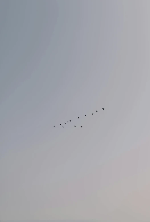 a flock of birds flying over a large lake