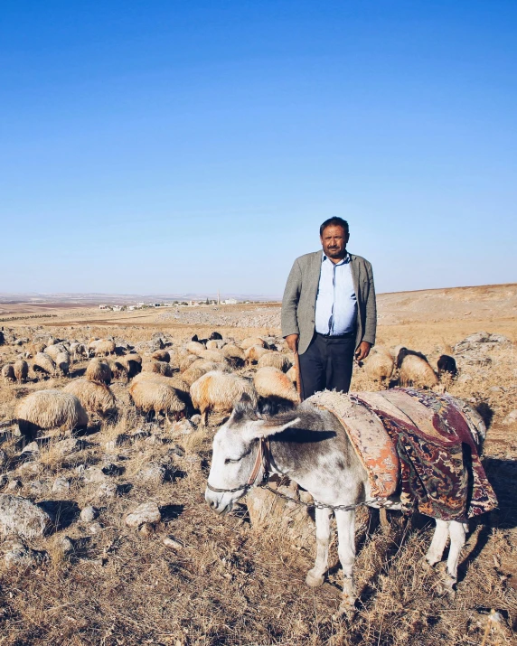 man in desert setting with animals in the distance