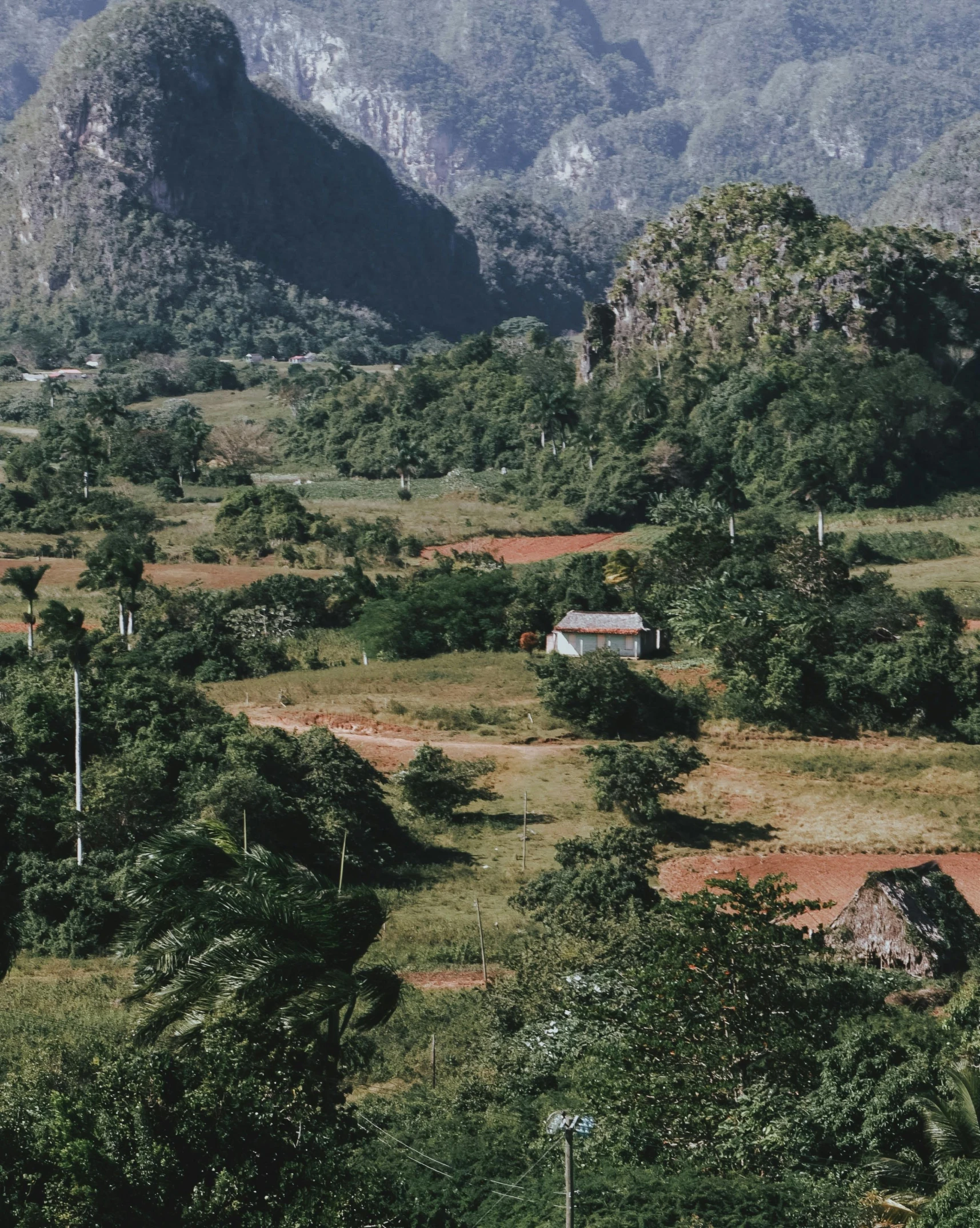 the landscape features many trees, mountains, and grass