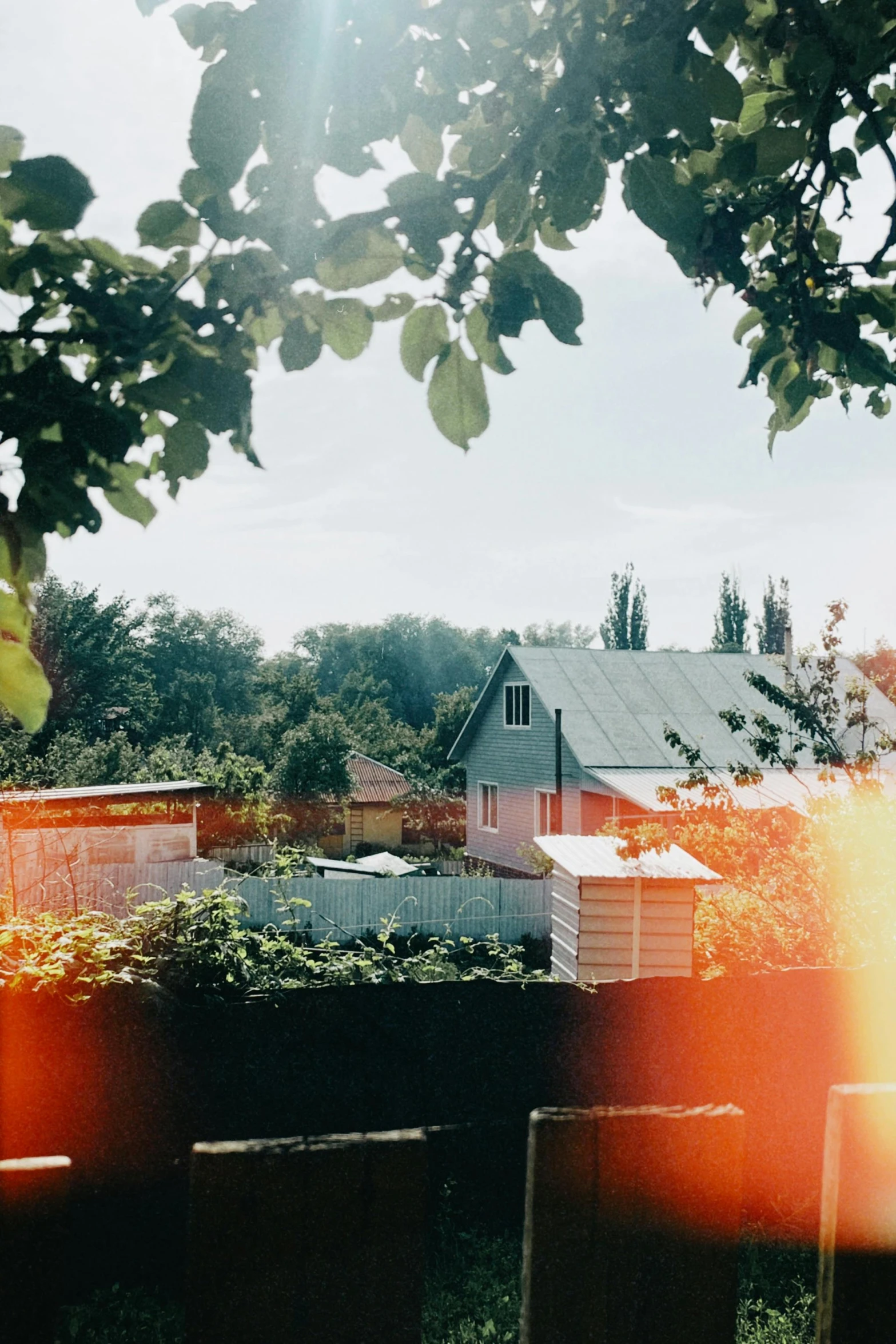 a house near a forest in the sunlight