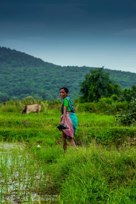 a woman walking in the tall grass near cows