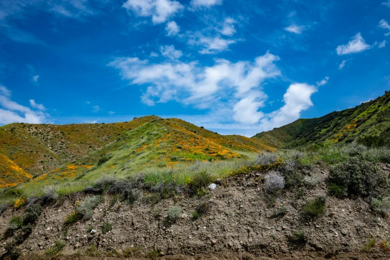 mountain side area with a hill in the background