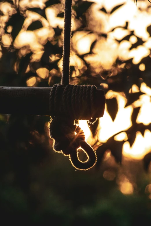 a string swing hanging upside down and there is a bird seed underneath