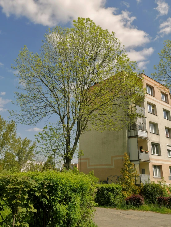 large apartment building with shrubs in the foreground and blue sky in the background