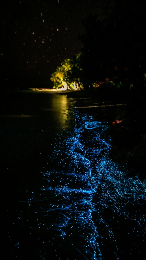blue glowing light at night reflecting on water
