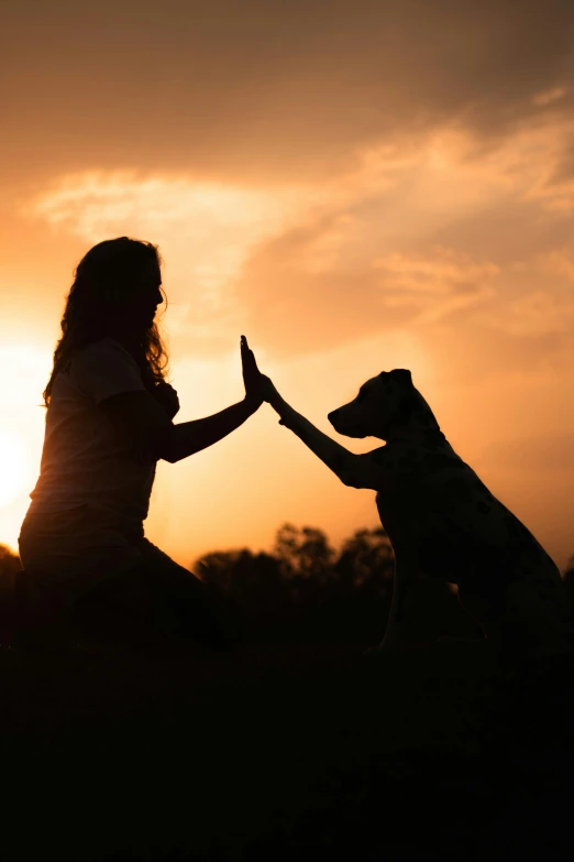 a woman shaking the hands of a dog as the sun is rising