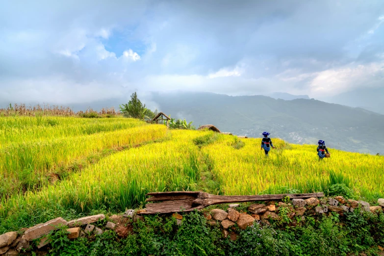 two motorcyclists travel on a dirt and grass mountain